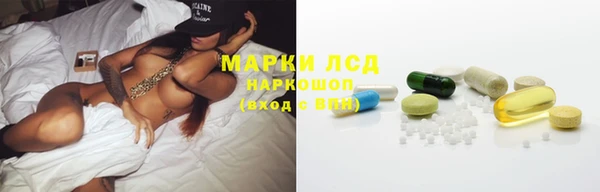 дмт Белокуриха