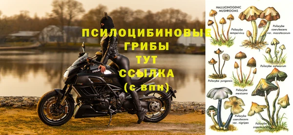 дмт Белокуриха