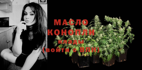 дживик Богородицк