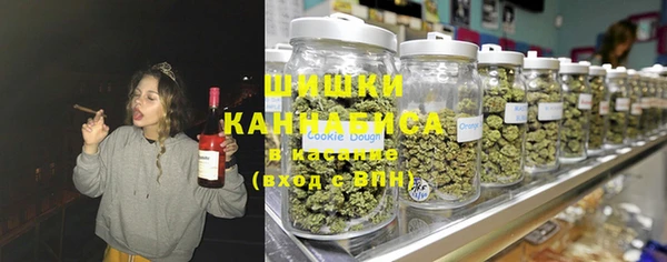молекула духа Новодвинск