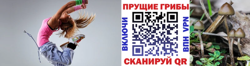 Псилоцибиновые грибы мицелий  наркота  Билибино 